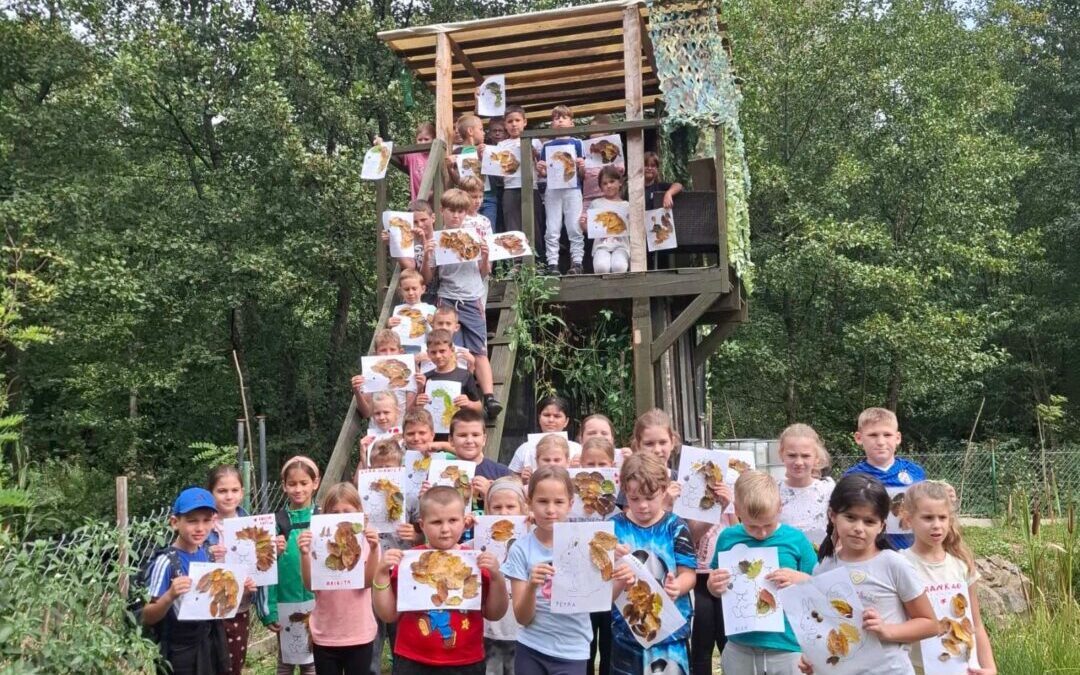 Pozdrav jesenskim čarolijama od učenika Područne škole Voloder