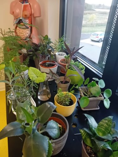 IMG-a14a22f09af9504c6a4dacd9f64d9dd9-V