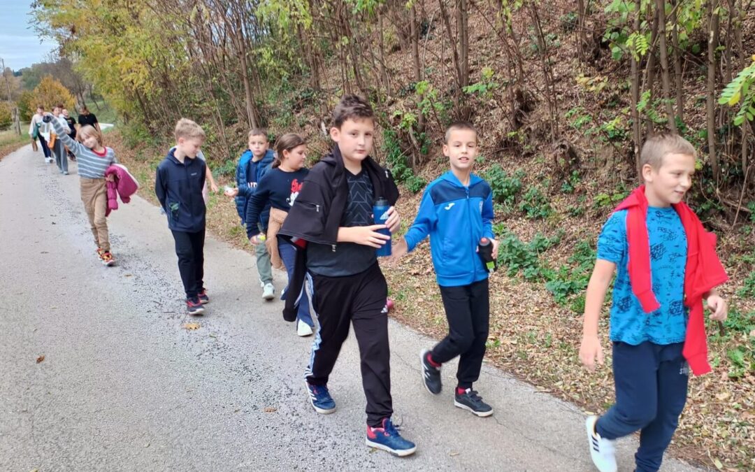 Školska izviđačka grupa „MZ”