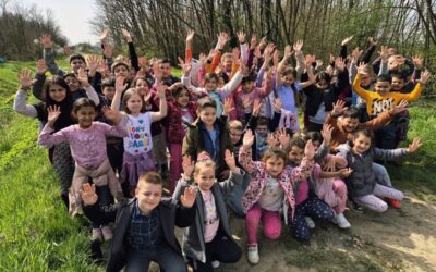 Pozdrav proljeću i Danu šuma 