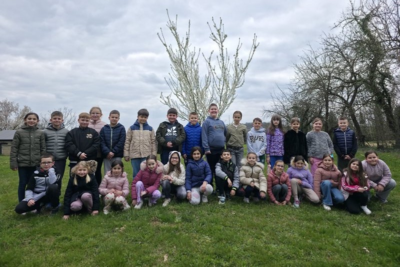 Pozdrav proljeću iz Gornje Gračenice