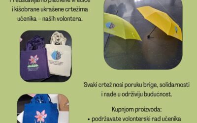 Međunarodna godina volontera za održivi razvoj
