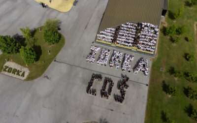Osvrt na treću godinu izvođenja Eksperimentalnoga programa „Osnovna škola kao cjelodnevna škola – Uravnotežen, pravedan, učinkovit i održiv sustav odgoja i obrazovanja“