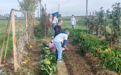 Uspješno održano snimanje za ekološko-obrazovni projekt „Najljepši školski vrtovi”